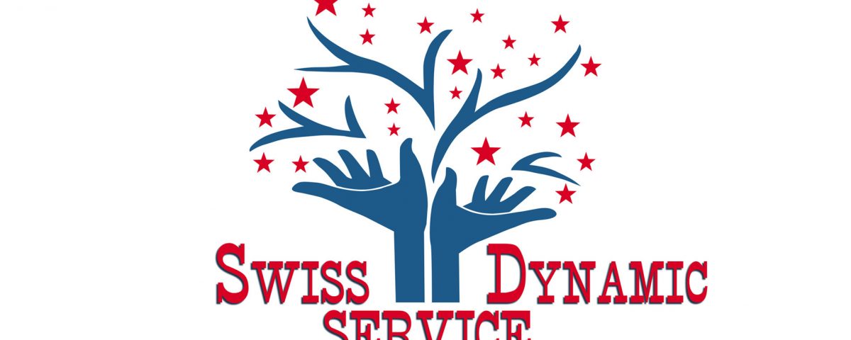 Portfolio Lavori - Swiss Dynamic Service: gestione campagne Google Ads fisioterapia